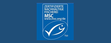 Webseite MSC